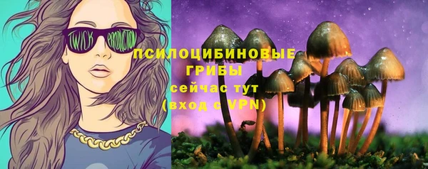 гидропоника Краснотурьинск