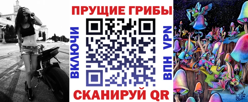 Купить где  Камбарка  Галлюциногенные грибы GOLDEN TEACHER 